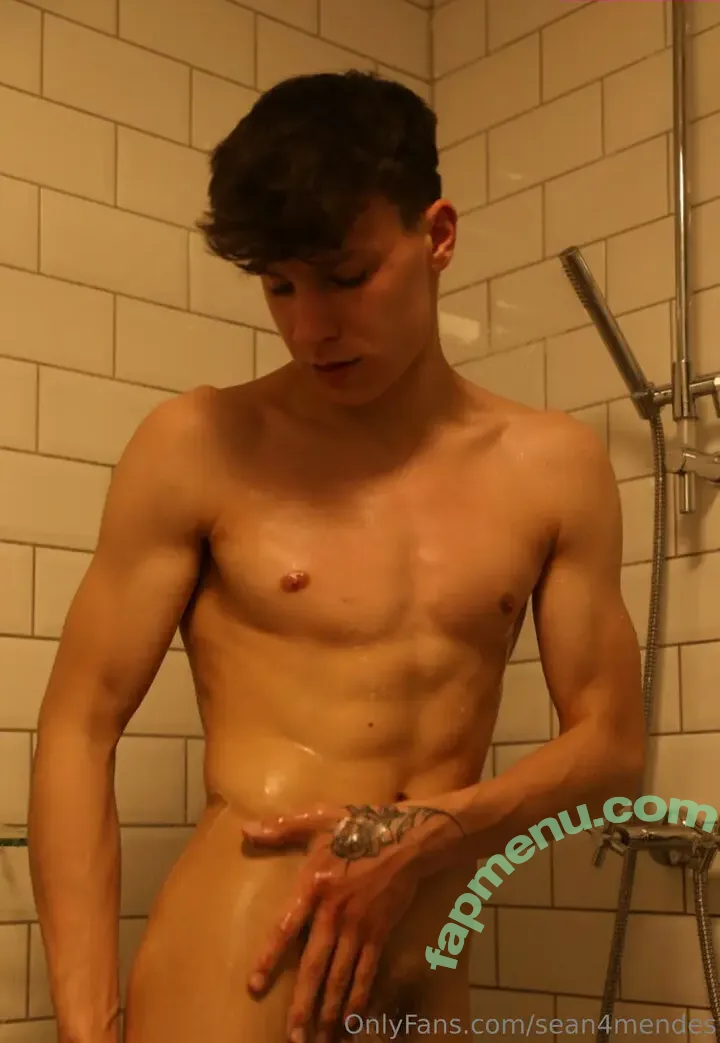 sean4mendes nude photo #0080 (sean4mendes)