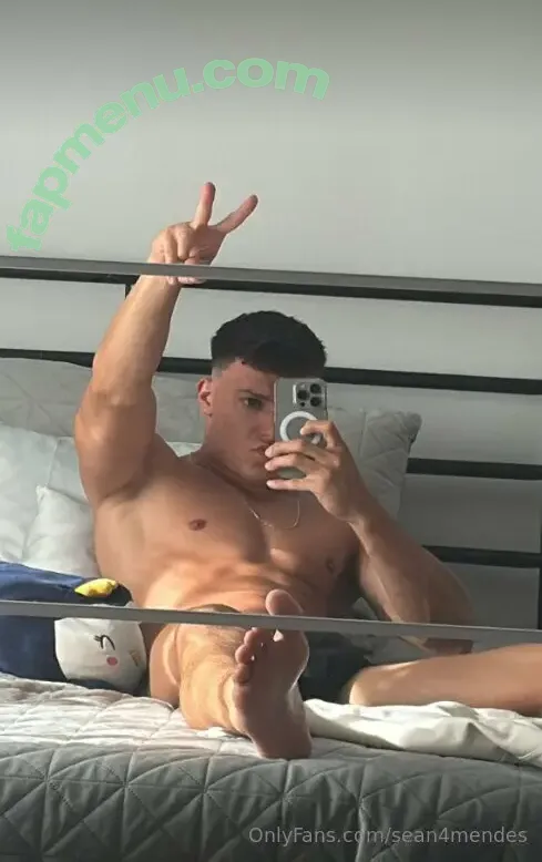 sean4mendes nude photo #0086 (sean4mendes)