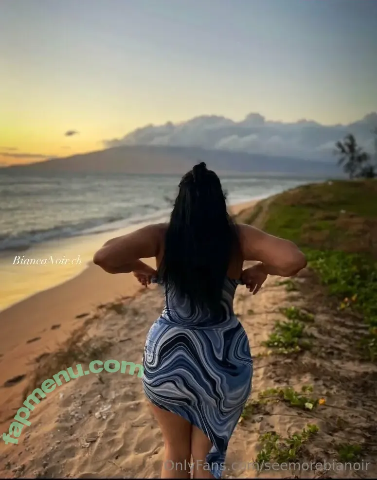 seemorebianoir nude photo #0003 (alohabiancanoir)