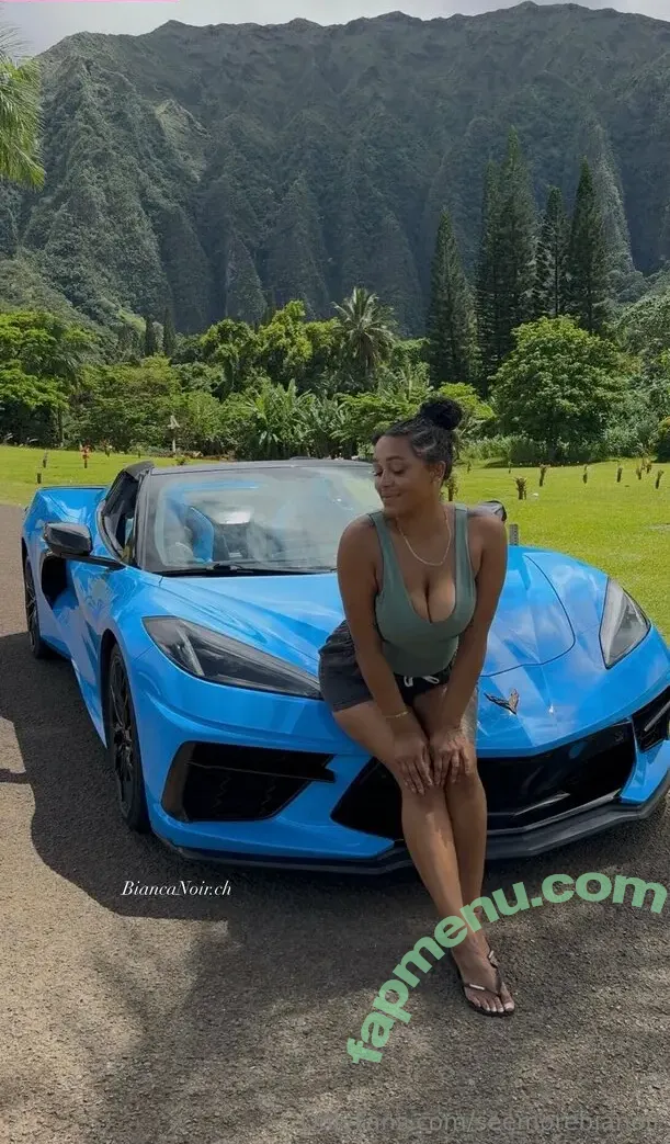 seemorebianoir nude photo #0026 (alohabiancanoir)