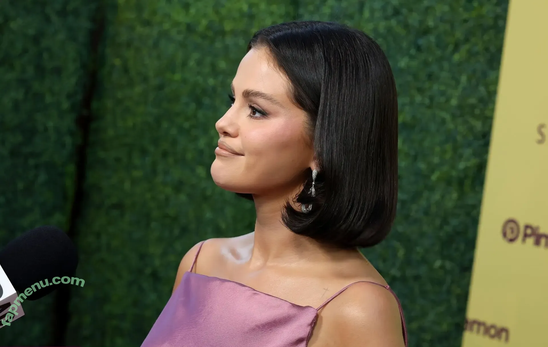 Selena Gomez nude photo #0353 (selena.gomez / selenagomez)