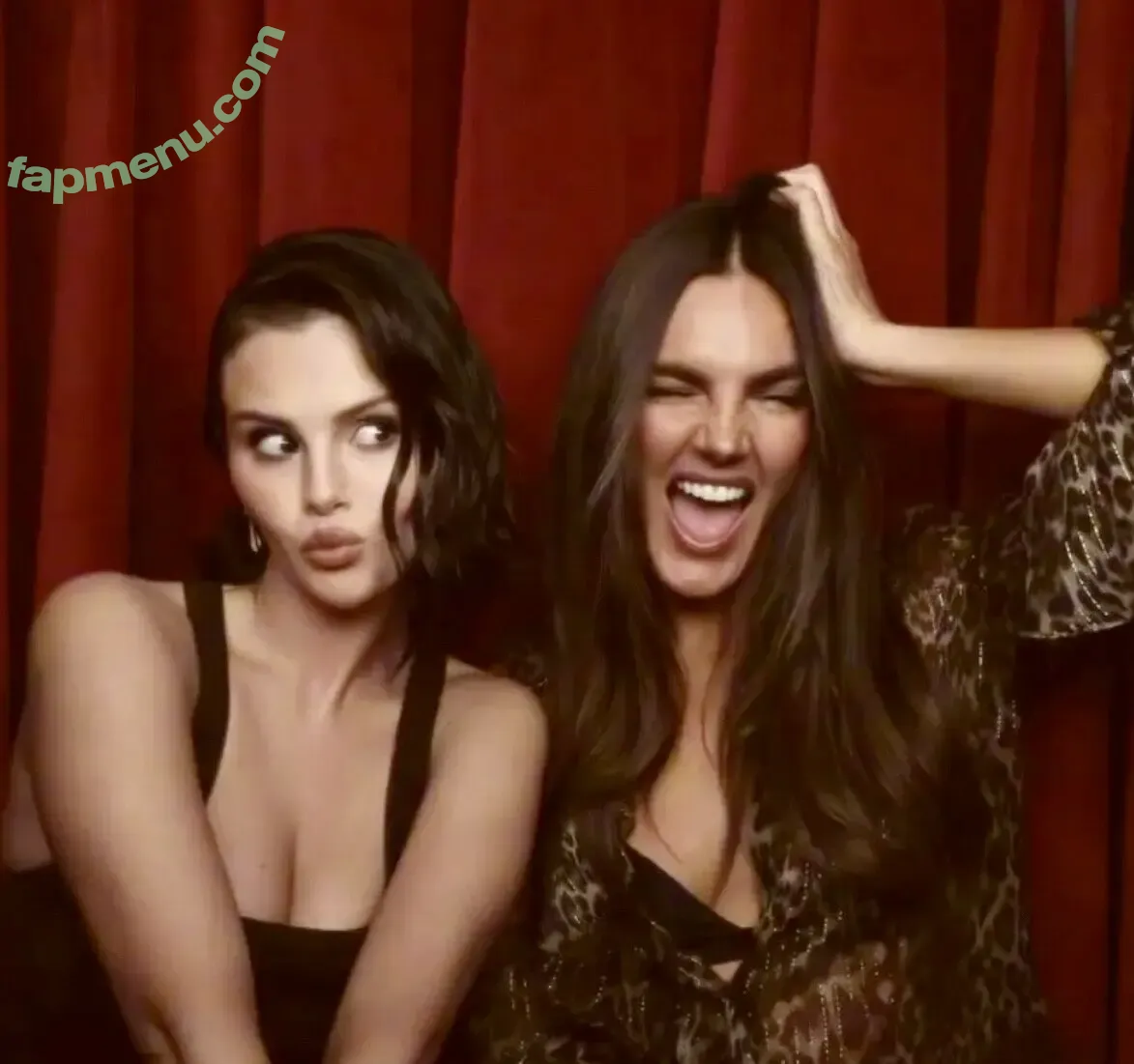 Selena Gomez nude photo #0603 (Selena / selena.gomez / selenagomez)