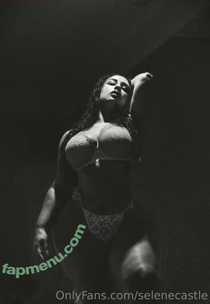 Selenecastle nude photo #0023 (iamselenecastle)