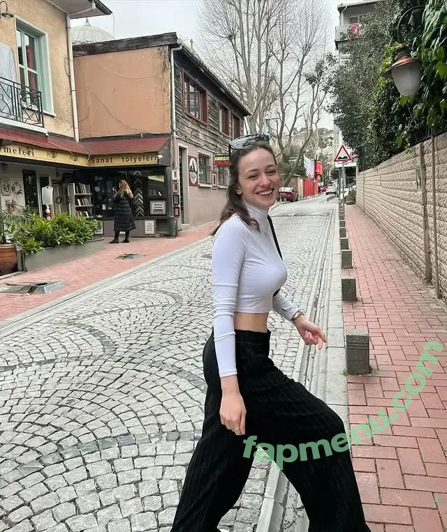 Selinay Saf nude photo #0008 (selinay.saf)