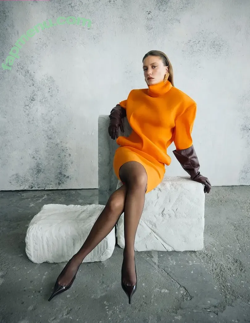 Serenay Sarıkaya nude photo #0015 (Serenay Sarikaya / serenayss)