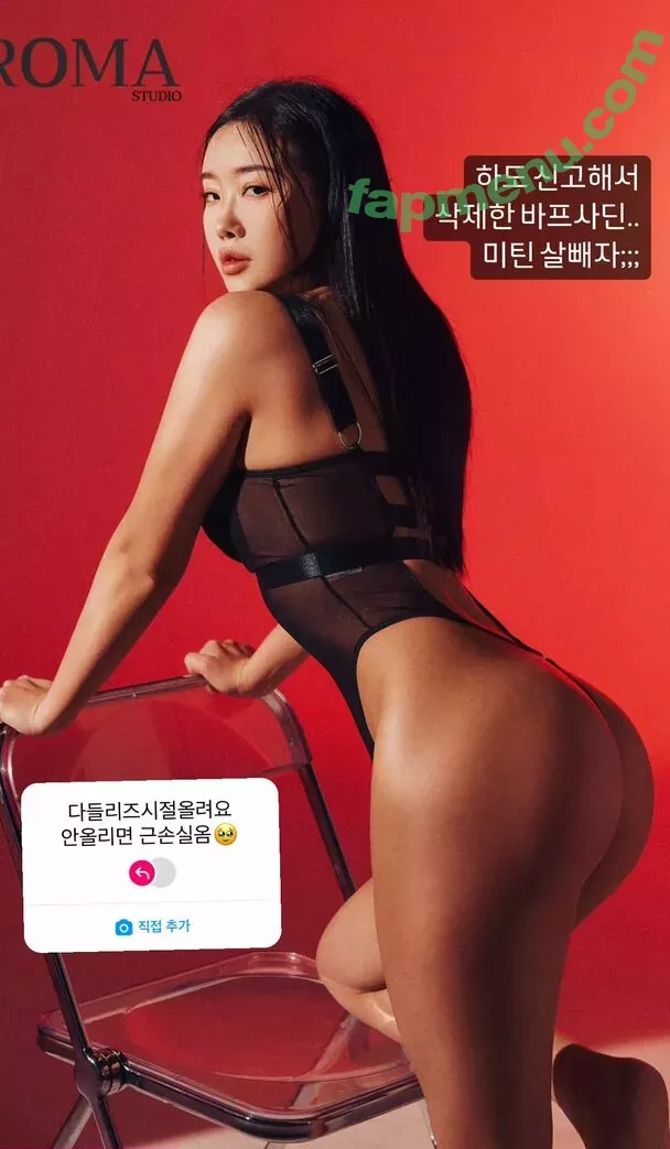 seulfit nude photo #0044 (이슬)