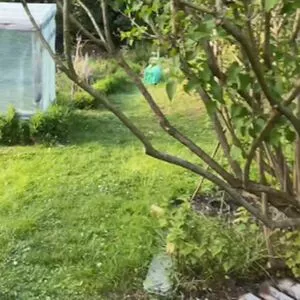 Sexmeat / Slutmeatcunt / sxmeat nude photo #0001