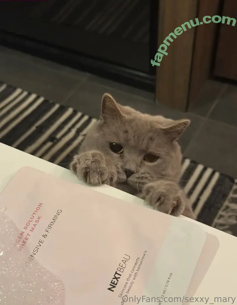 sexxy_mary nude photo #0006 (sexxy_merry)