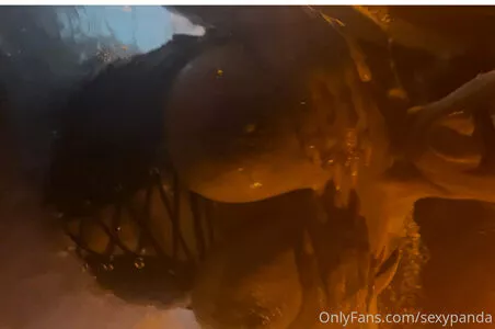 sexypanda / pandabearsworld / sexypandarl nude photo #0026