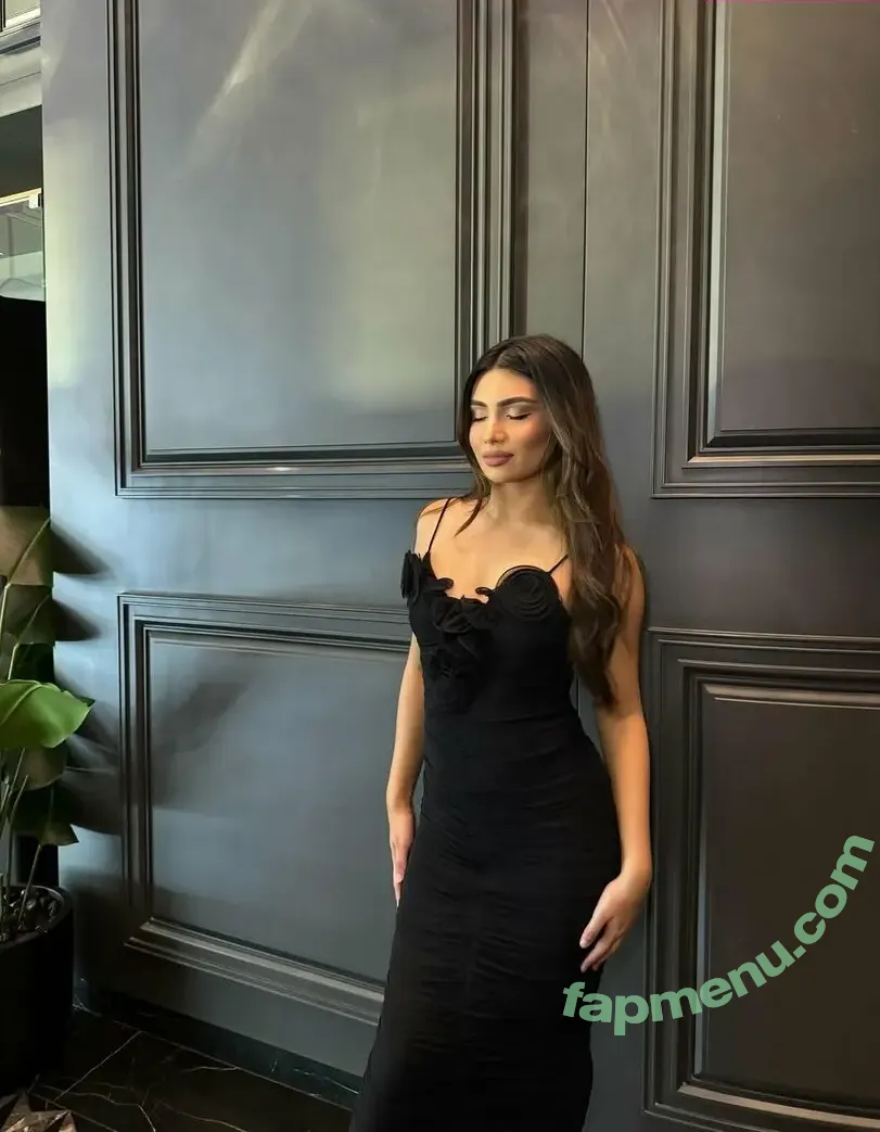 Shabreen Meerasafeer nude photo #0021 (shabreensabeer)