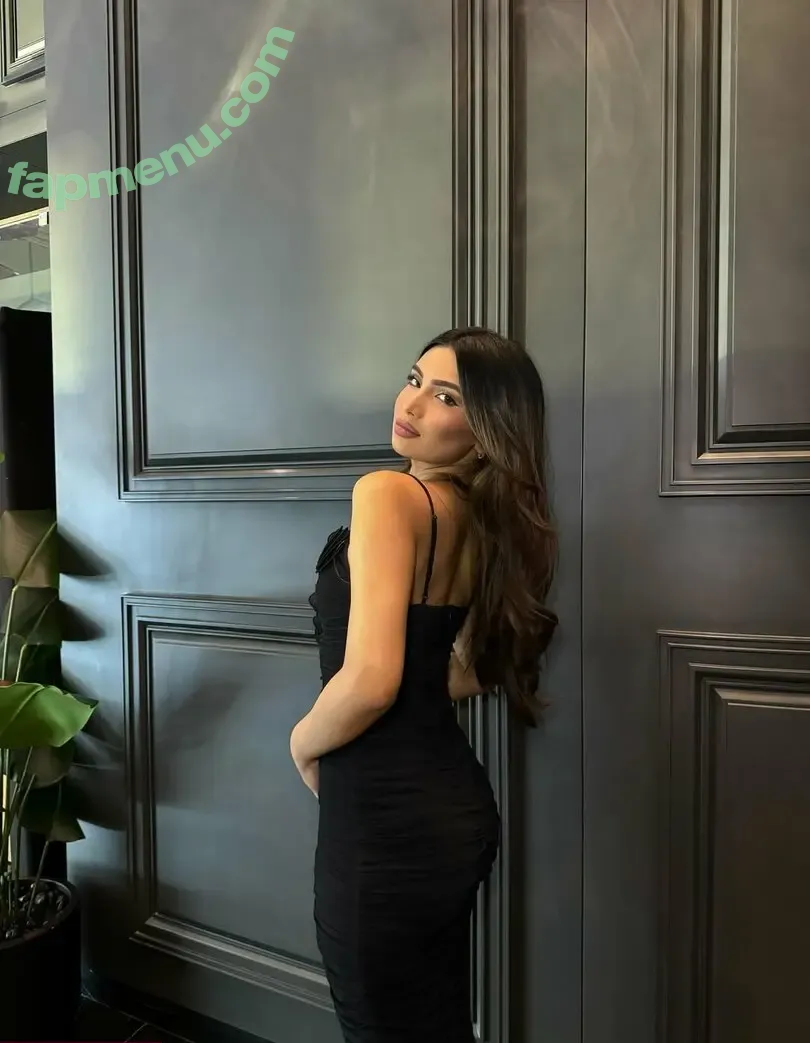 Shabreen Meerasafeer nude photo #0022 (shabreensabeer)