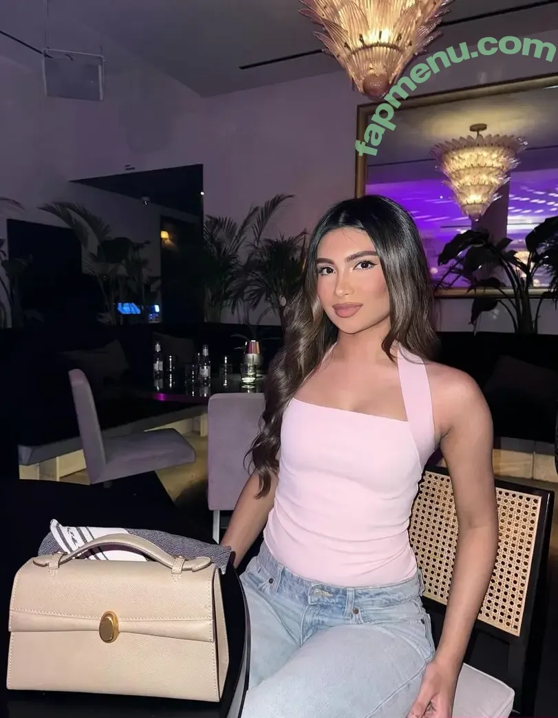 Shabreen Meerasafeer nude photo #0024 (shabreensabeer)