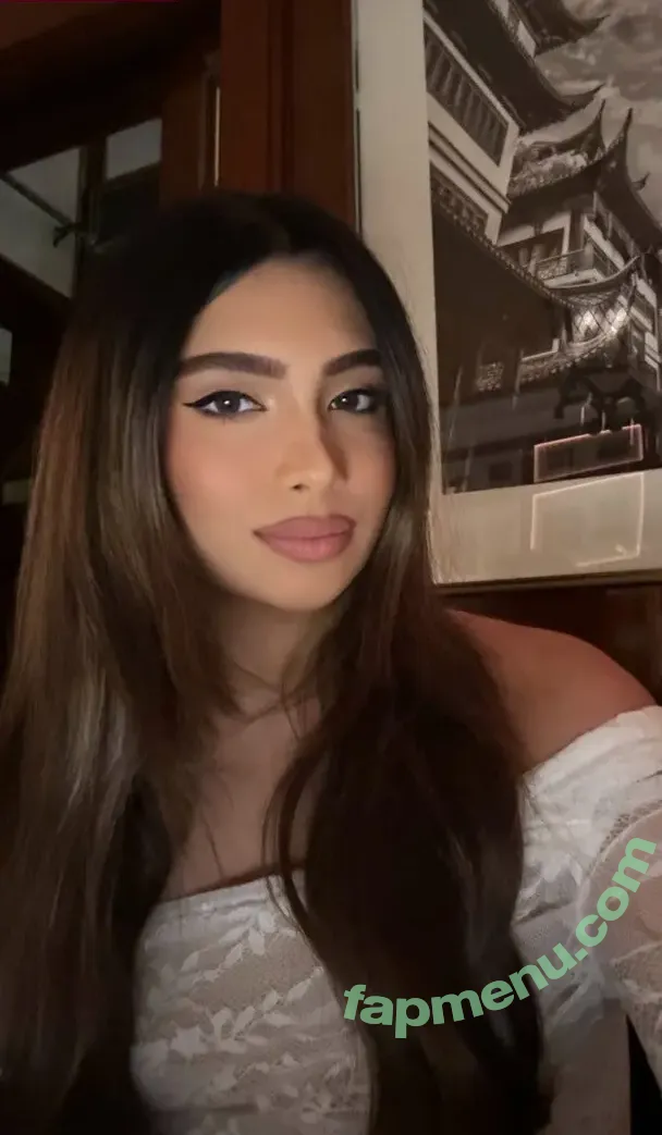 Shabreen Meerasafeer nude photo #0031 (shabreensabeer)