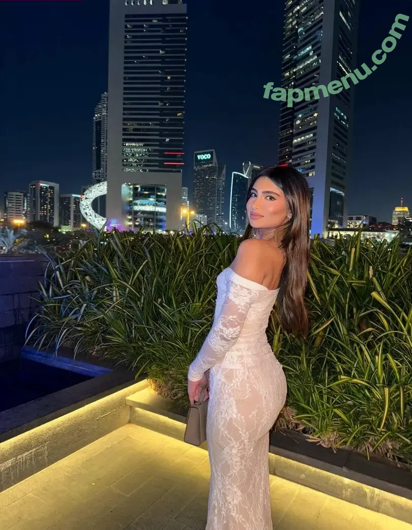 Shabreen Meerasafeer nude photo #0033 (shabreensabeer)