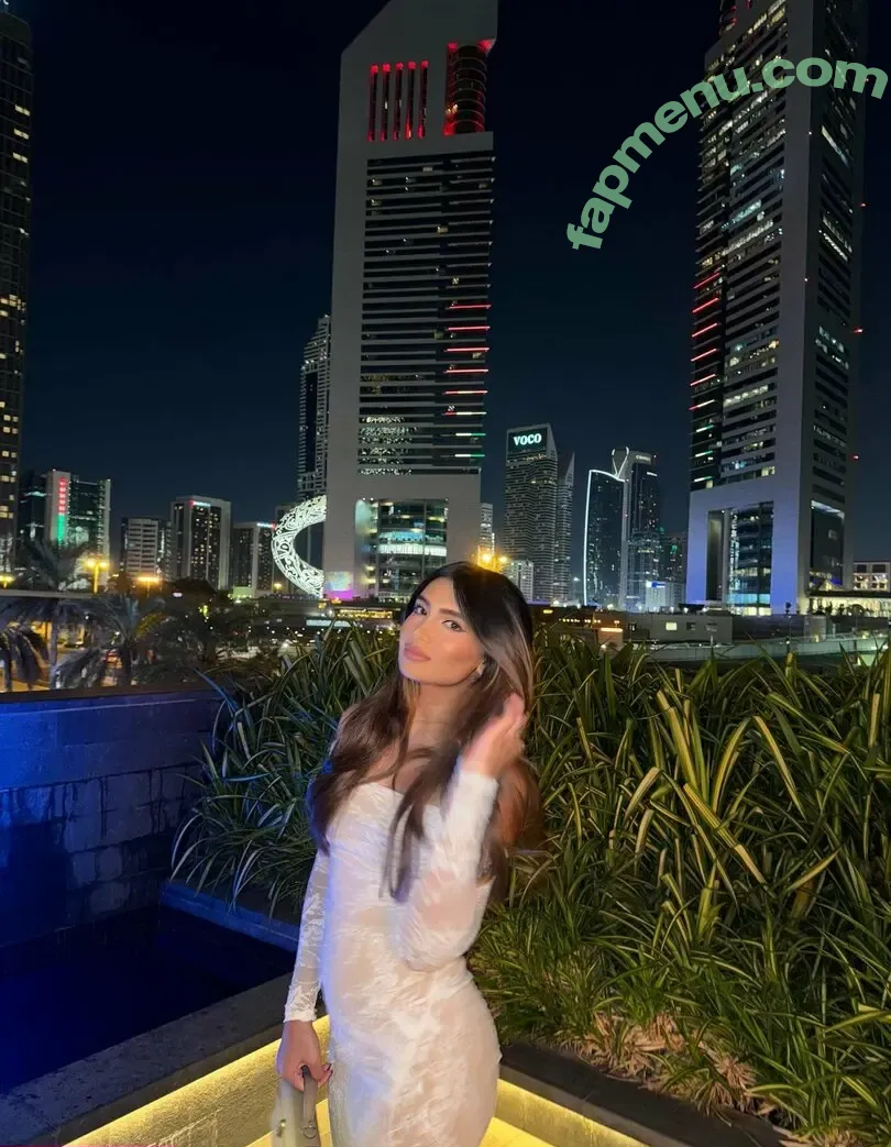 Shabreen Meerasafeer nude photo #0034 (shabreensabeer)