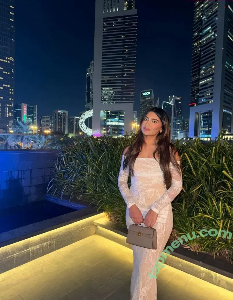 Shabreen Meerasafeer nude photo #0035 (shabreensabeer)