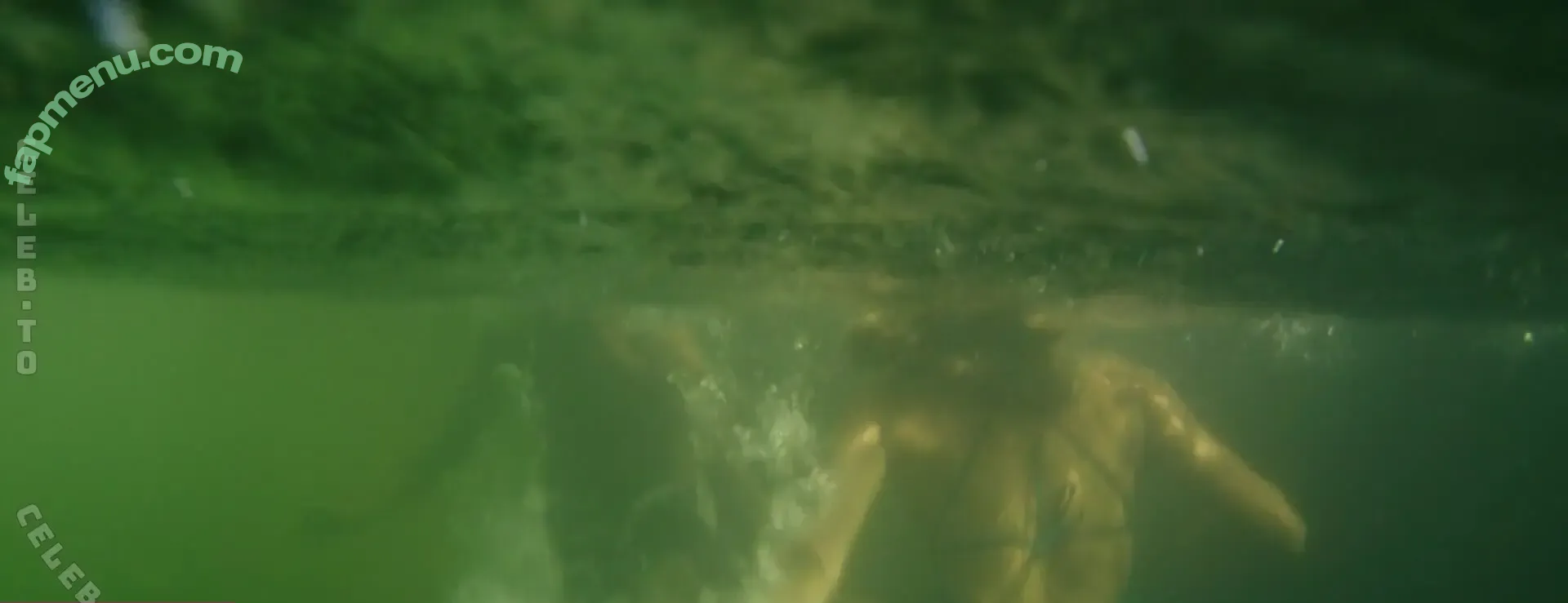 Shailene Woodley nude photo #0277 (shailenewoodley)