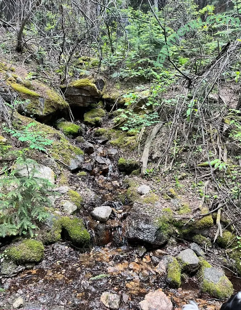 shakicast nude photo #0264 (shakicast)