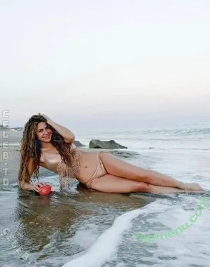Shakira / artist / shakkira nude photo #1605