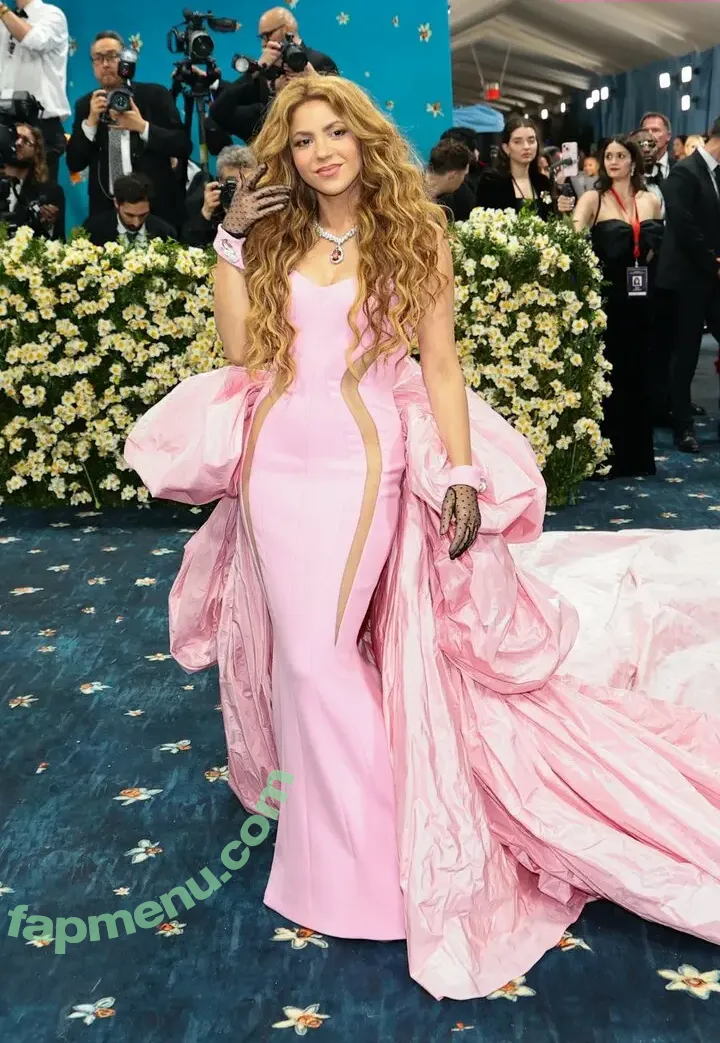 Shakira nude photo #1143 (artist / shakkira)