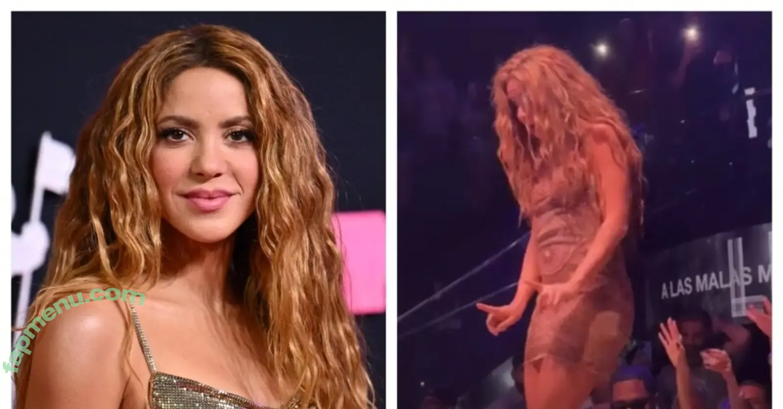 Shakira nude photo #1209 (artist / shakkira)