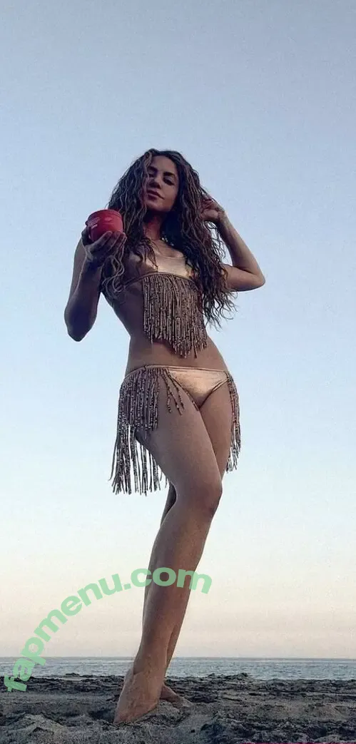 Shakira nude photo #1570 (artist / shakkira)