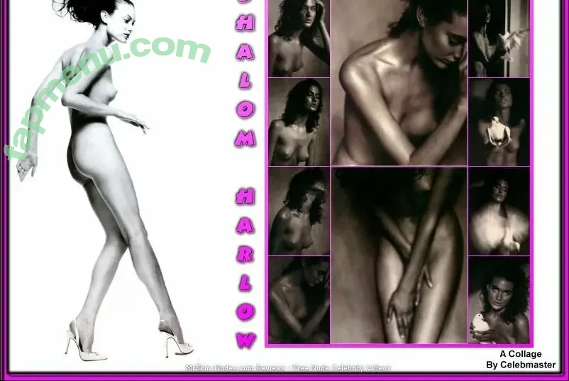 Shalom Harlow nude photo #0001 (shalomharlow)