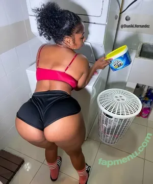 Shaniki Hernandez / shaniki.hernandez nude photo #0009