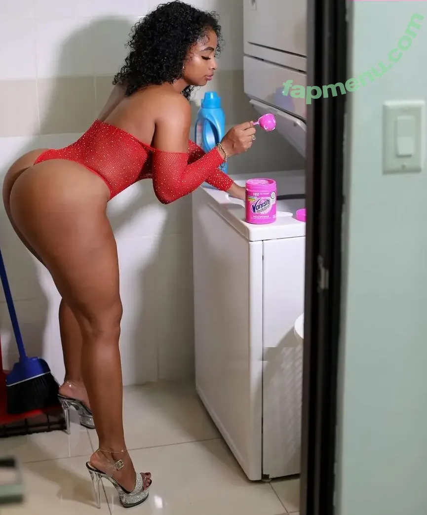Shaniki Hernandez nude photo #0017 (shaniki.hernandez)
