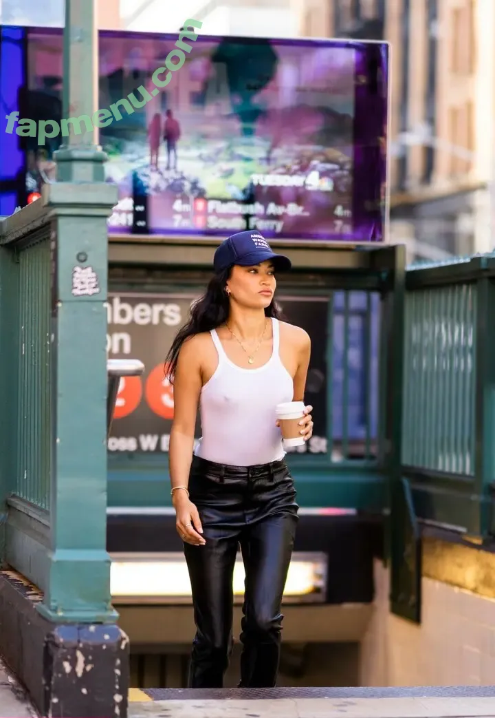 Shanina Shaik nude photo #0379 (shaninamshaik)