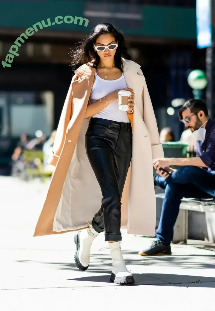 Shanina Shaik nude photo #0391 (shaninamshaik)