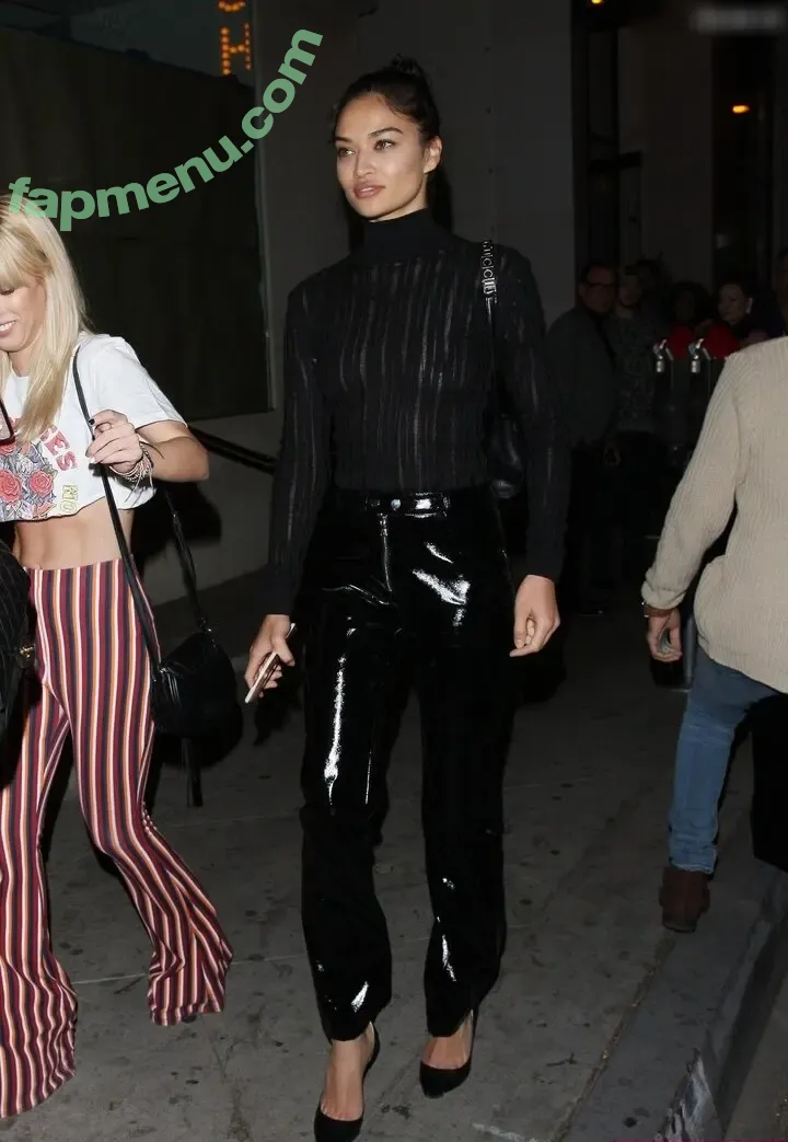 Shanina Shaik nude photo #0501 (shaninamshaik)