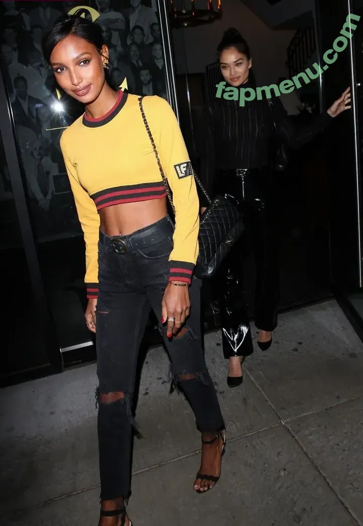 Shanina Shaik nude photo #0509 (shaninamshaik)