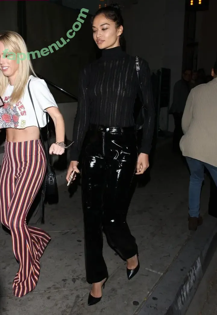 Shanina Shaik nude photo #0510 (shaninamshaik)