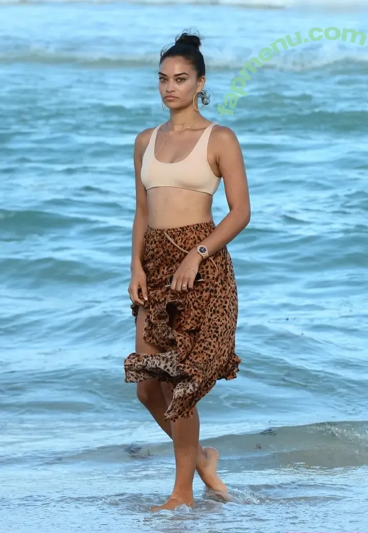 Shanina Shaik nude photo #0557 (shaninamshaik)