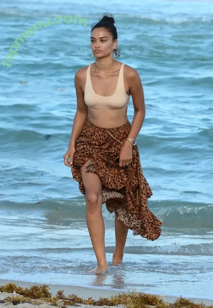 Shanina Shaik nude photo #0564 (shaninamshaik)