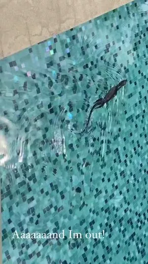 Shantel VanSanten / therealshantel nude photo #0320