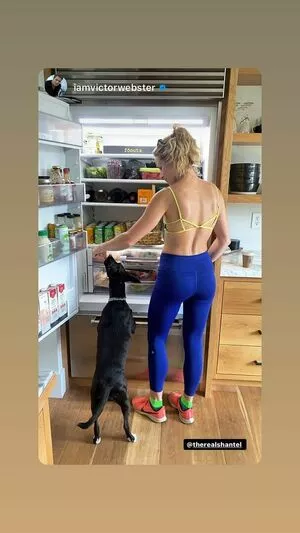 Shantel VanSanten / therealshantel nude photo #0381