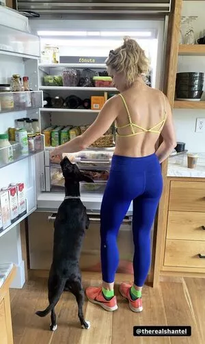 Shantel VanSanten / therealshantel nude photo #0382