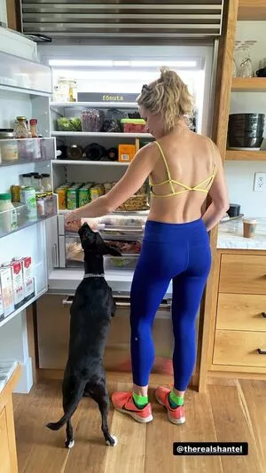 Shantel VanSanten / therealshantel nude photo #0385