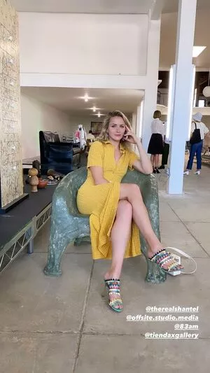 Shantel VanSanten / therealshantel nude photo #0387