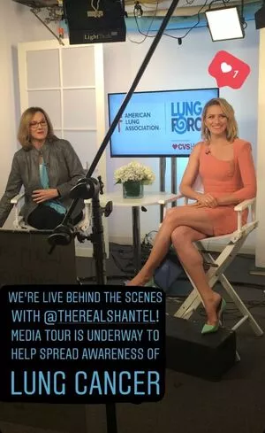 Shantel VanSanten / therealshantel nude photo #0438