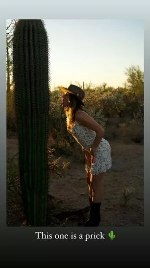 Shantel VanSanten / therealshantel nude photo #0457