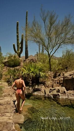 Shantel VanSanten / therealshantel nude photo #0461