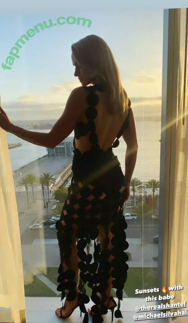 Shantel VanSanten nude photo #0288 (therealshantel)