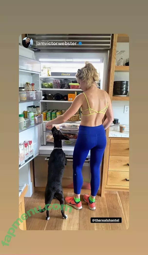 Shantel VanSanten nude photo #0381 (therealshantel)