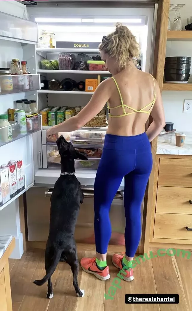 Shantel VanSanten nude photo #0382 (therealshantel)