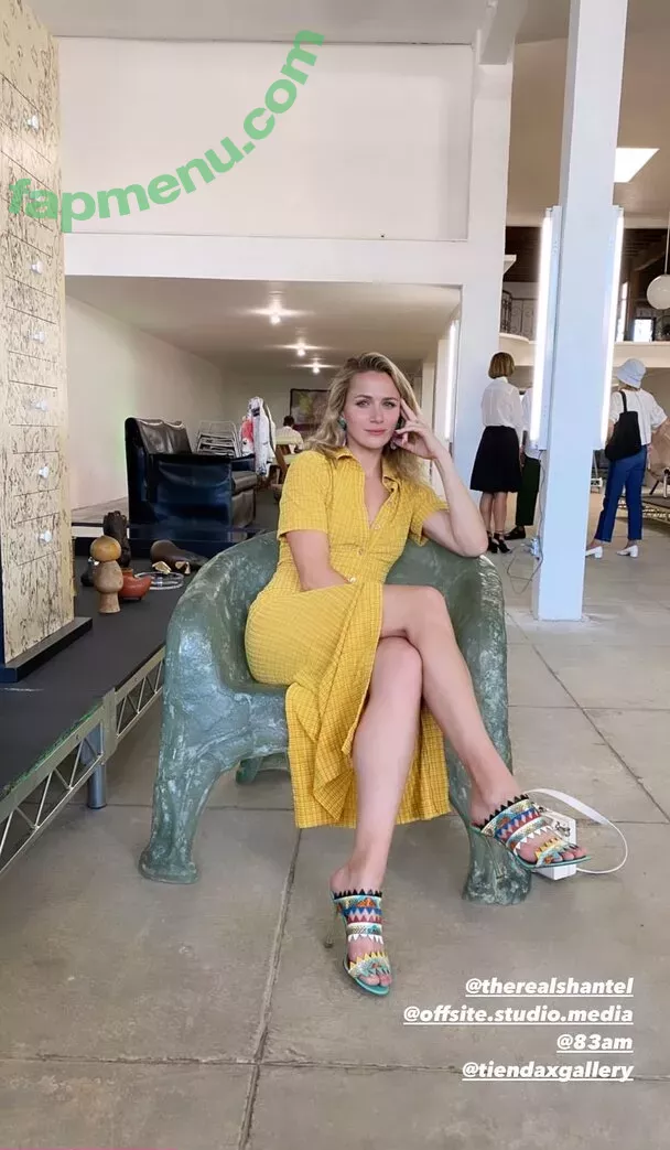 Shantel VanSanten nude photo #0387 (therealshantel)