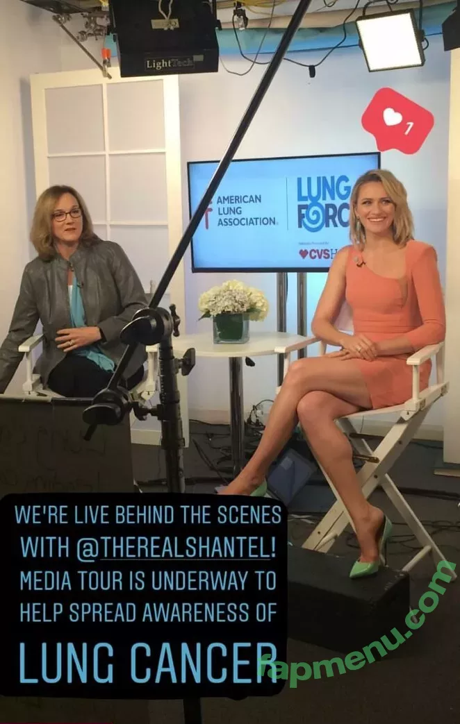 Shantel VanSanten nude photo #0438 (therealshantel)