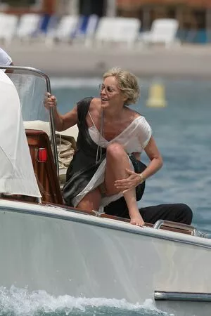 Sharon Stone / 160762733 / search / sharonstone nude photo #0033